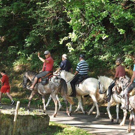 Les Chalets Du Moulin Du Chatain 4 Payzac  Ngoại thất bức ảnh